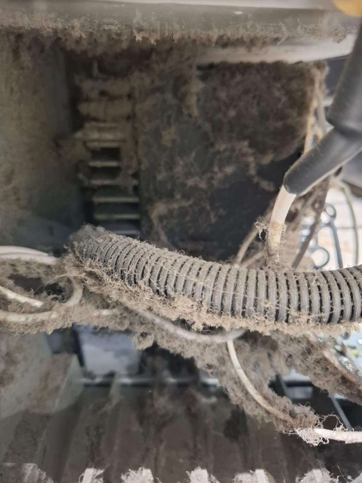 Assistência Técnica